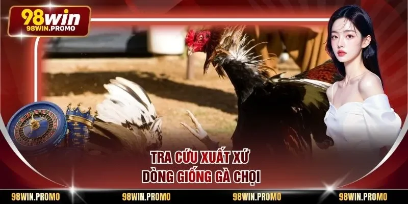 Mẹo Chọn Gà Đá Thomo - Phương Pháp Tìm Kiếm Chiến Kê 3 Tra cứu xuất xứ dòng giống gà chọi
